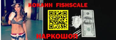 индика Сланцы