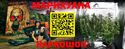 индика Сланцы