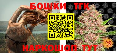 индика Сланцы