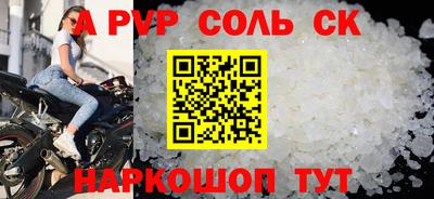индика Сланцы