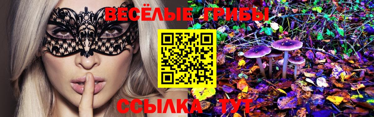 Псилоцибиновые грибы ЛСД Усинск