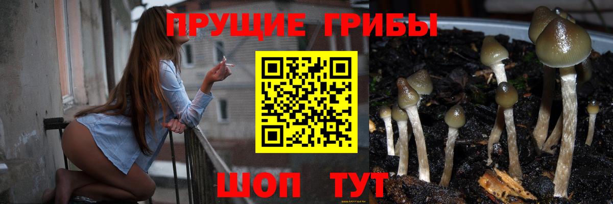 Галлюциногенные грибы MAGIC MUSHROOMS  Вход с VPN  Галлюциногенные грибы мухоморы  цены наркотик  Усинск 